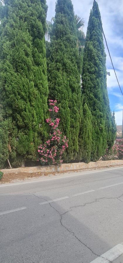 Coqueto Apartamento مرسية المظهر الخارجي الصورة